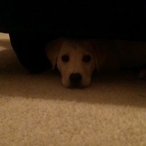 Meet your Posher, Jill